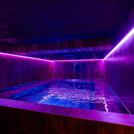 Villa De Luxe Avec Wellness